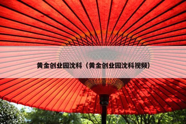 黄金创业园沈科（黄金创业园沈科视频）