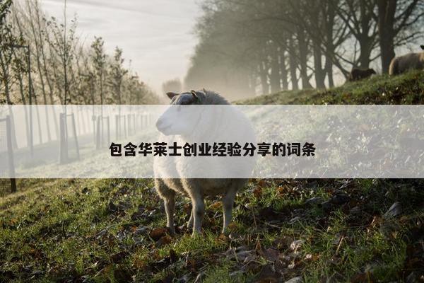 包含华莱士创业经验分享的词条