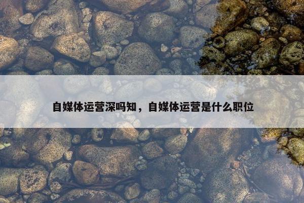 自媒体运营深吗知，自媒体运营是什么职位