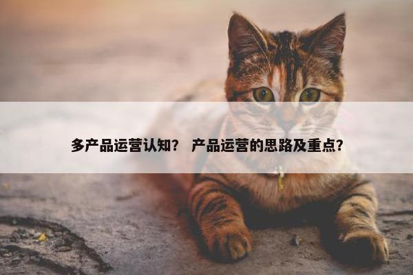 多产品运营认知？ 产品运营的思路及重点？