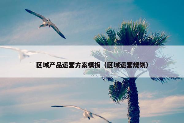 区域产品运营方案模板（区域运营规划）