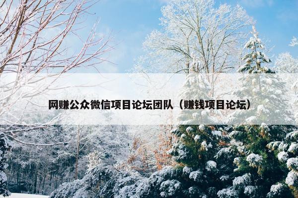 网赚公众微信项目论坛团队（赚钱项目论坛）