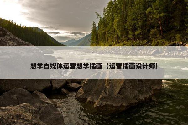 想学自媒体运营想学插画（运营插画设计师）