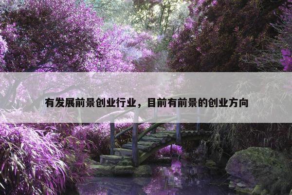 有发展前景创业行业，目前有前景的创业方向