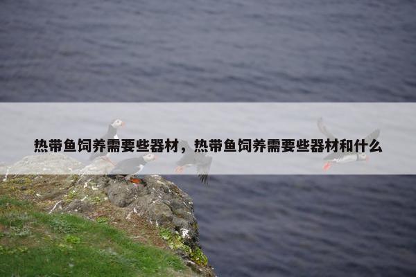 热带鱼饲养需要些器材，热带鱼饲养需要些器材和什么