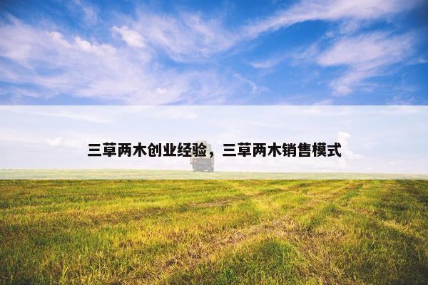 三草两木创业经验，三草两木销售模式