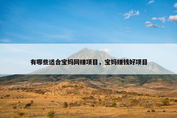 有哪些适合宝妈网赚项目，宝妈赚钱好项目