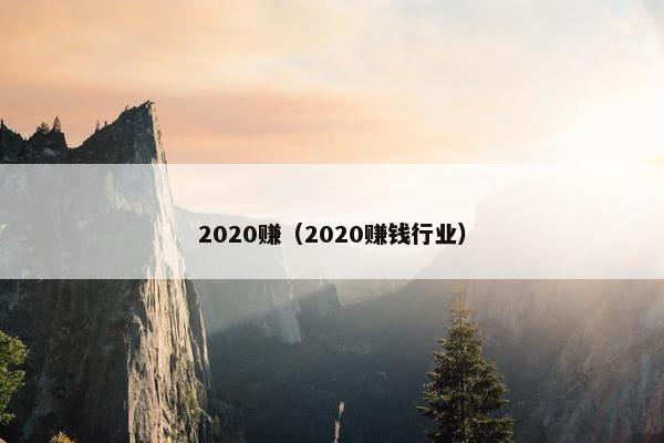 2020赚（2020赚钱行业）