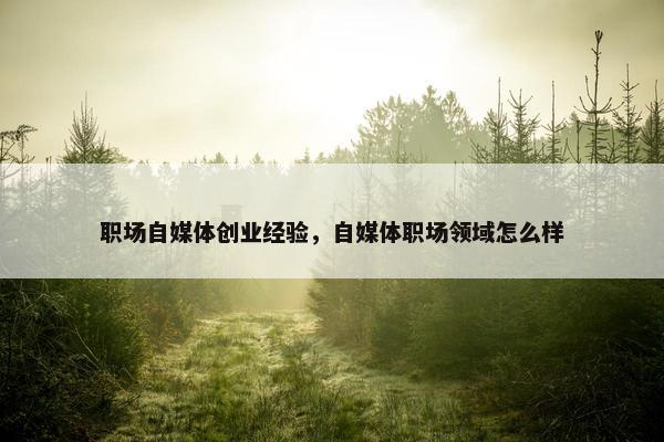 职场自媒体创业经验，自媒体职场领域怎么样