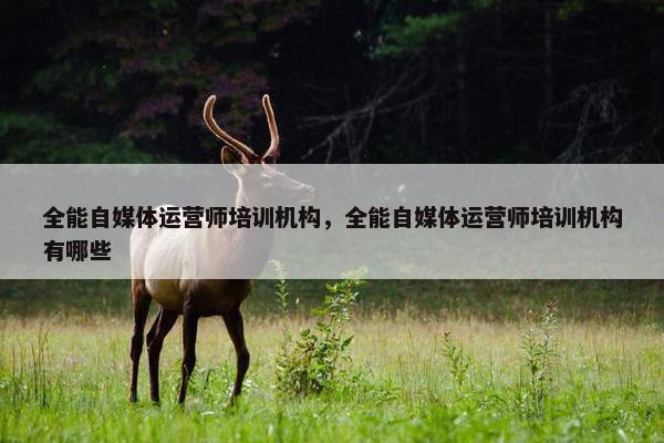 全能自媒体运营师培训机构，全能自媒体运营师培训机构有哪些