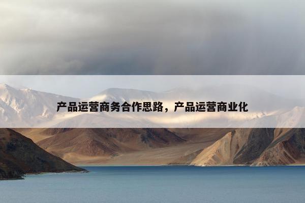 产品运营商务合作思路，产品运营商业化