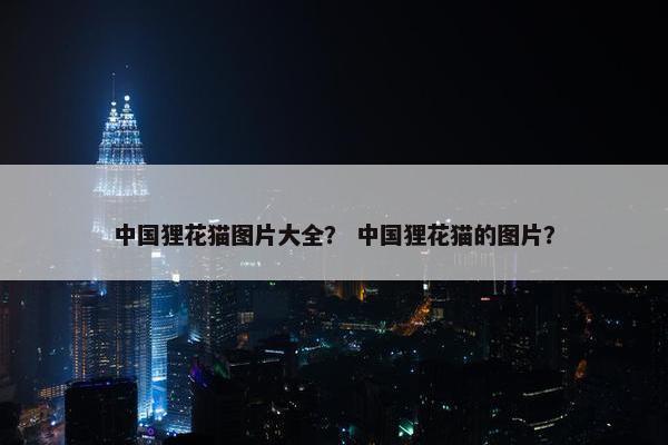 中国狸花猫图片大全？ 中国狸花猫的图片？
