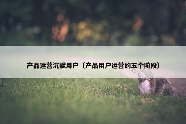 产品运营沉默用户（产品用户运营的五个阶段）