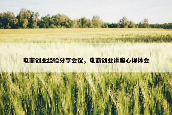 电商创业经验分享会议，电商创业讲座心得体会
