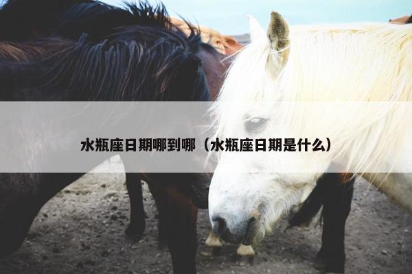 水瓶座日期哪到哪（水瓶座日期是什么）