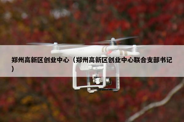 郑州高新区创业中心（郑州高新区创业中心联合支部书记）