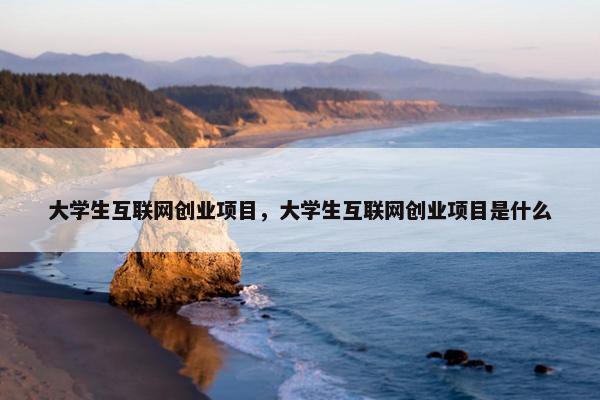 大学生互联网创业项目，大学生互联网创业项目是什么