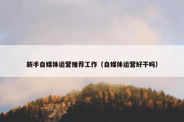 新手自媒体运营推荐工作（自媒体运营好干吗）