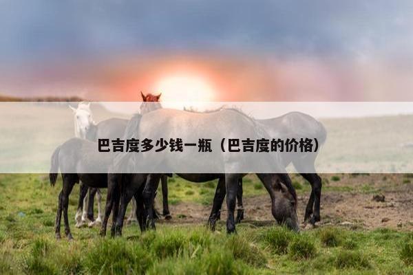 巴吉度多少钱一瓶（巴吉度的价格）