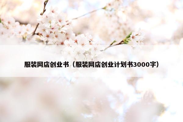 服装网店创业书（服装网店创业计划书3000字）