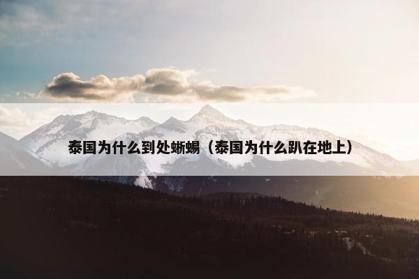 泰国为什么到处蜥蜴（泰国为什么趴在地上）