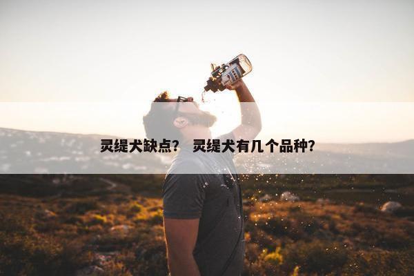灵缇犬缺点？ 灵缇犬有几个品种？