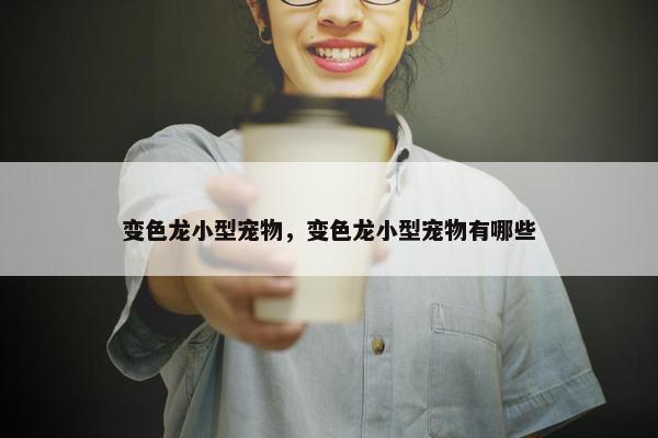 变色龙小型宠物，变色龙小型宠物有哪些
