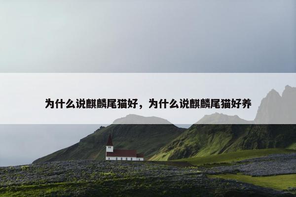为什么说麒麟尾猫好，为什么说麒麟尾猫好养