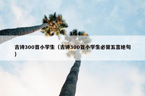 古诗300首小学生（古诗300首小学生必背五言绝句）