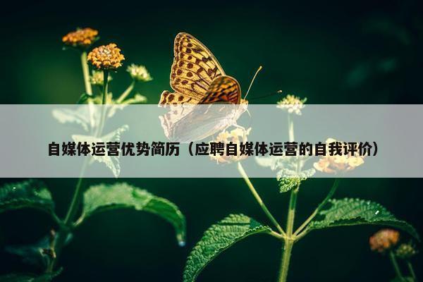 自媒体运营优势简历（应聘自媒体运营的自我评价）