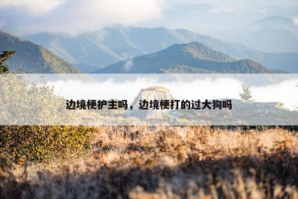 边境梗护主吗，边境梗打的过大狗吗