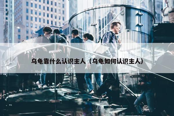 乌龟靠什么认识主人（乌龟如何认识主人）