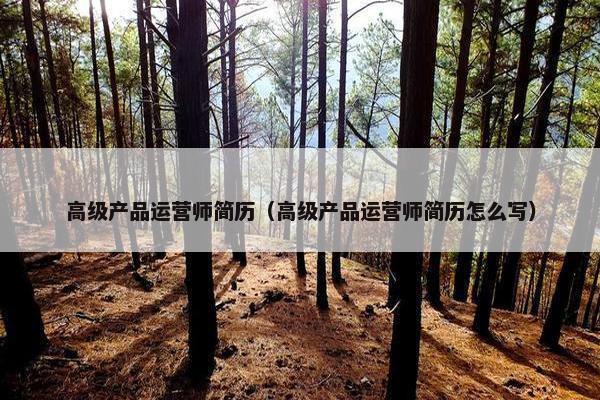 高级产品运营师简历（高级产品运营师简历怎么写）