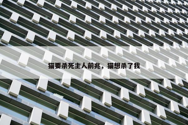 猫要杀死主人前兆，猫想杀了我