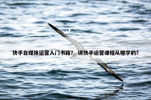 快手自媒体运营入门书籍？ 讲快手运营课程从哪学的？