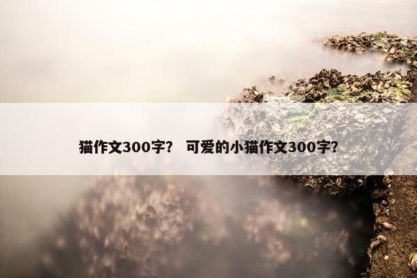 猫作文300字？ 可爱的小猫作文300字？