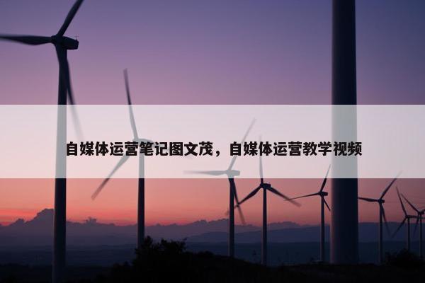 自媒体运营笔记图文茂，自媒体运营教学视频