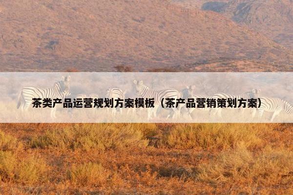 茶类产品运营规划方案模板（茶产品营销策划方案）