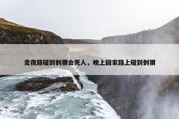 走夜路碰到刺猬会死人，晚上回家路上碰到刺猬