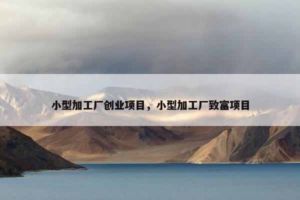 小型加工厂创业项目，小型加工厂致富项目