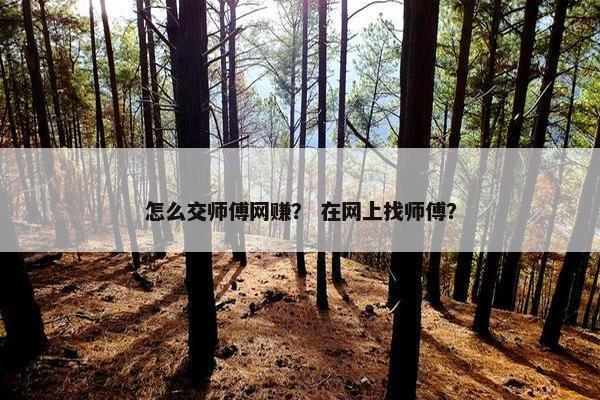 怎么交师傅网赚？ 在网上找师傅？