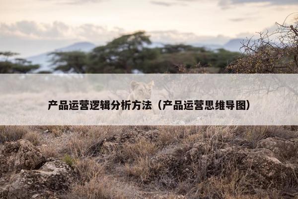 产品运营逻辑分析方法（产品运营思维导图）