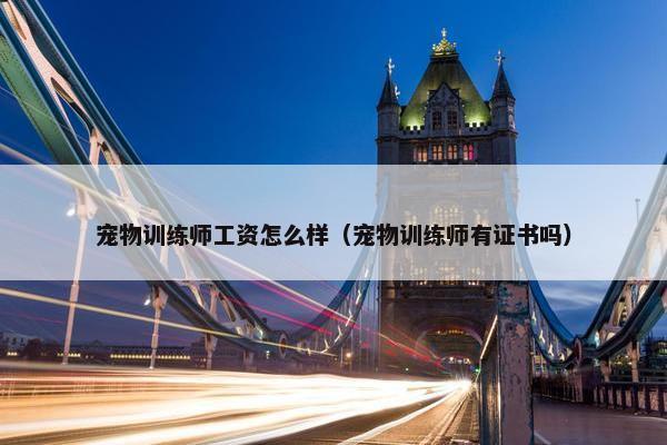宠物训练师工资怎么样（宠物训练师有证书吗）