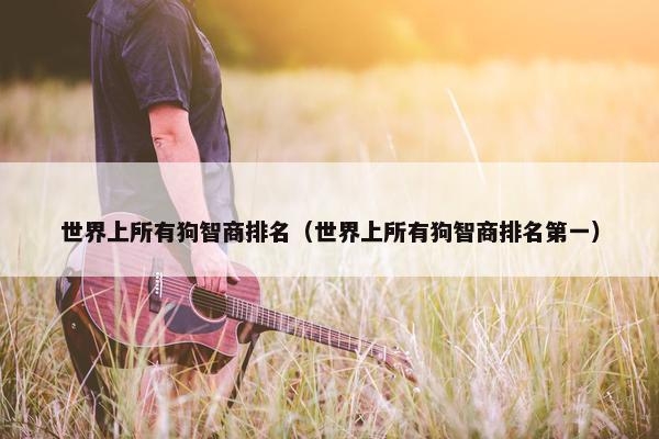 世界上所有狗智商排名（世界上所有狗智商排名第一）