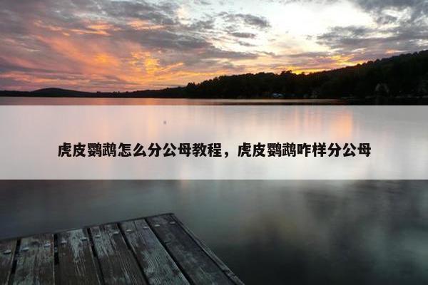 虎皮鹦鹉怎么分公母教程，虎皮鹦鹉咋样分公母