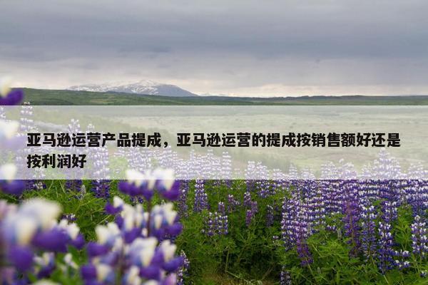 亚马逊运营产品提成，亚马逊运营的提成按销售额好还是按利润好