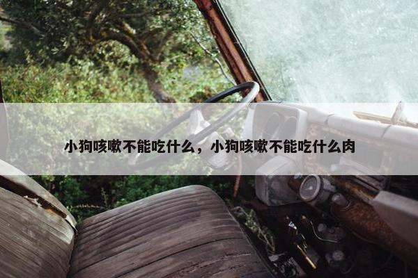 小狗咳嗽不能吃什么，小狗咳嗽不能吃什么肉