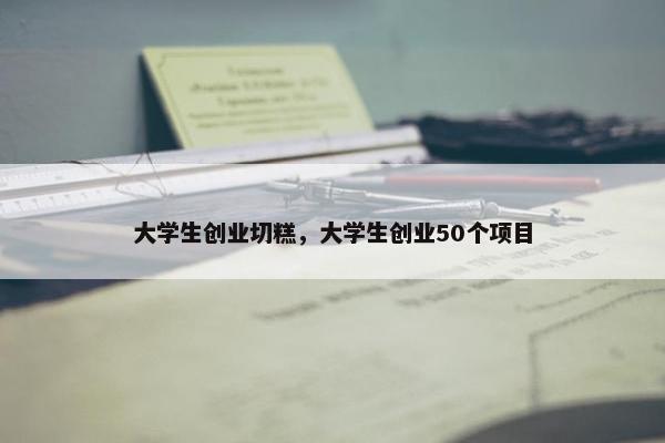 大学生创业切糕，大学生创业50个项目
