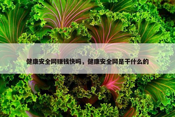 健康安全网赚钱快吗，健康安全网是干什么的