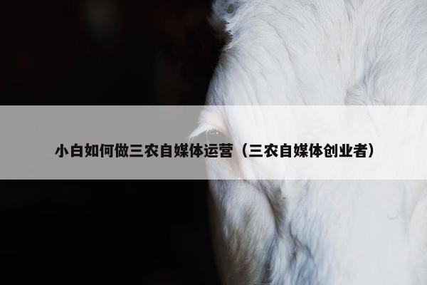 小白如何做三农自媒体运营（三农自媒体创业者）